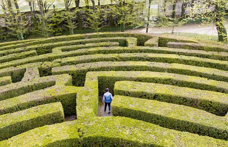 Person walking in a green hedge maze